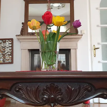 Stadium Апартаменты Пловдив